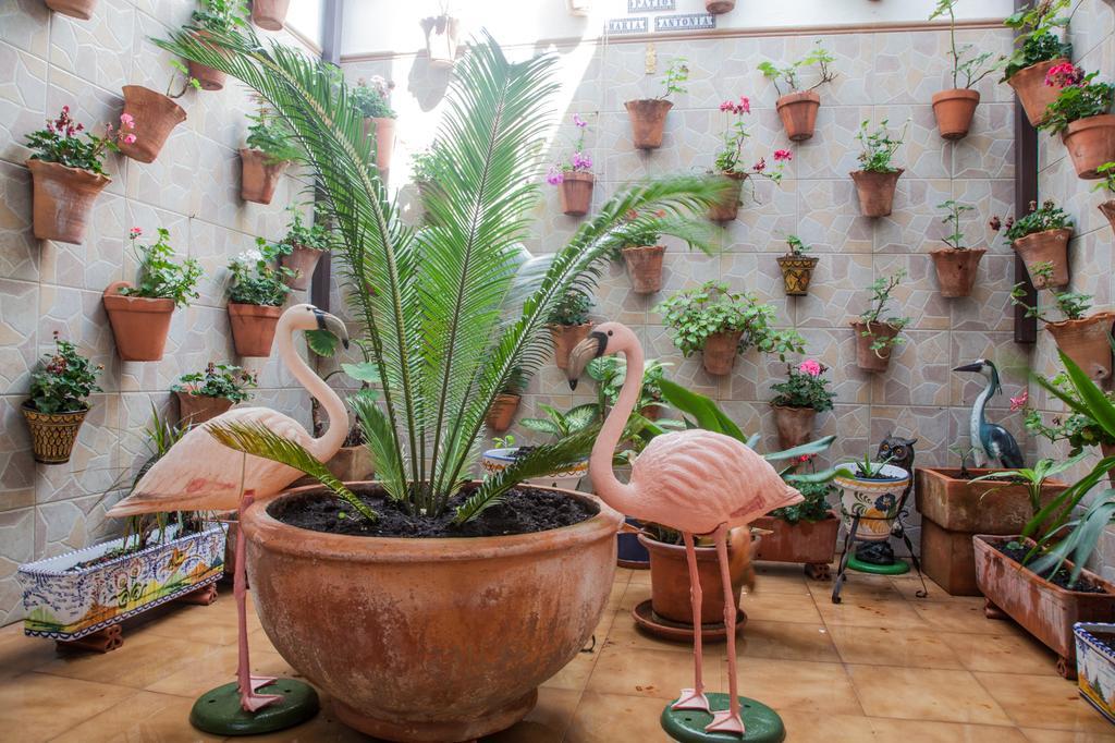 Alborada Hotel Tarifa Buitenkant foto
